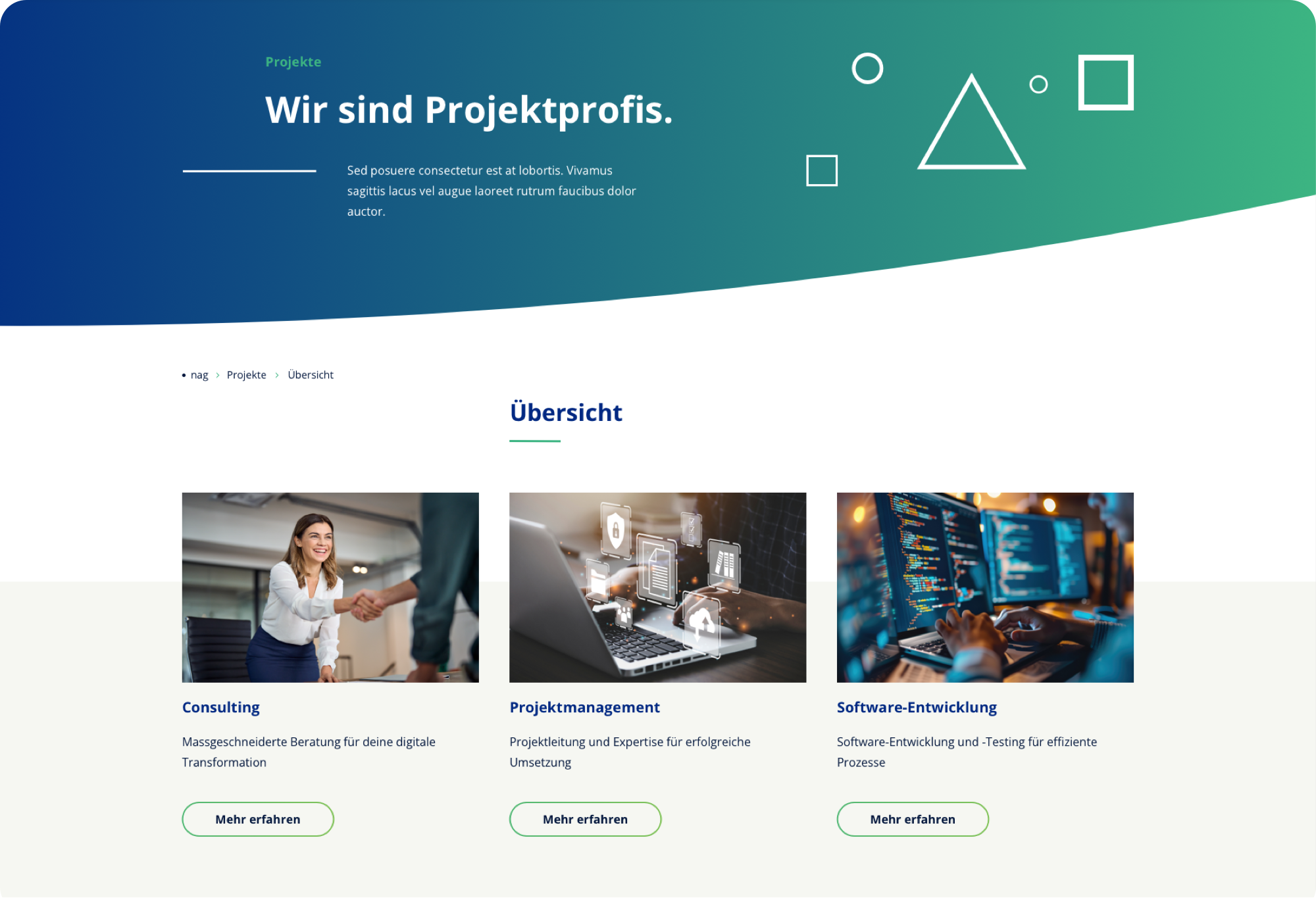 NAG Informatik AG – Screendesign und Animationen