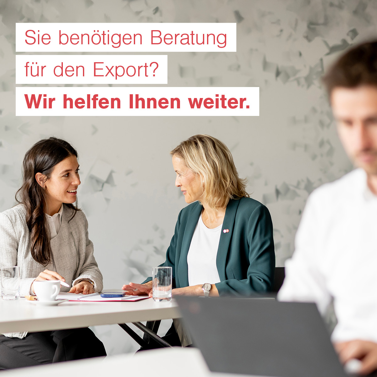 Switzerland Global Enterprise – Ads der Dienstleistungskampagne